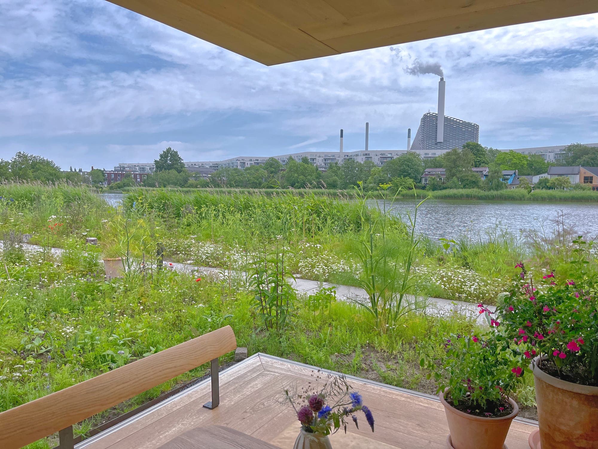 View from Noma